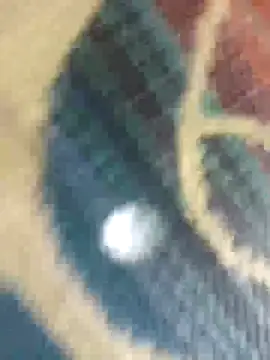 Sexy-nandani-baby online show from 12, 10, 2025