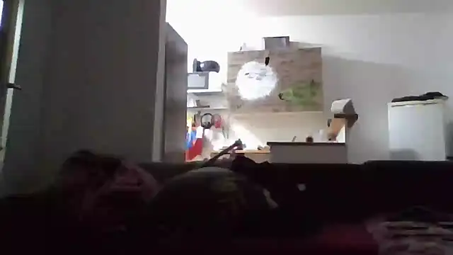 Snapshot of ThePython666 chatting on 17, 11, 2025 ThePython666 online show from 17, 11, 2025