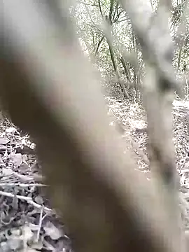 CertifiedSatisfier online show from 12, 11, 2025