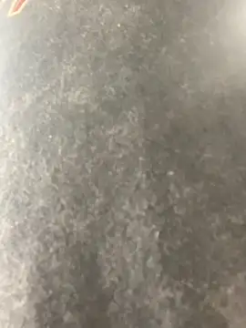 anthonyroth online show from 6, 11, 2025