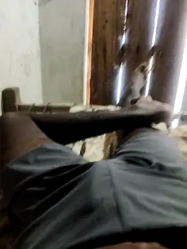 PolarFriend0 online show from 20, 2, 2026