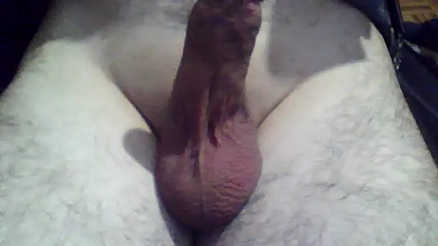 Snapshot of soyorkarxx chatting on 18, 12, 2025 soyorkarxx online show from 18, 12, 2025