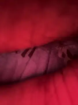 Barbonguapo69 online show from 14, 3, 2025