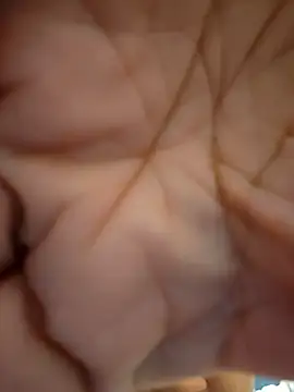 ikeike-kun online show from 10, 11, 2025