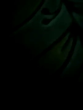 royall queen online show from 24, 11, 2025