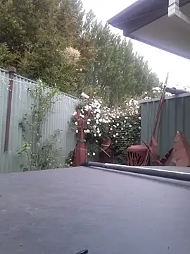 Snapshot of TAIZ69WORLD chatting on 5, 11, 2025 TAIZ69WORLD online show from 5, 11, 2025