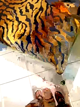 Snapshot of Dglo0000 chatting on 28, 2, 2026 Dglo0000 online show from 28, 2, 2026