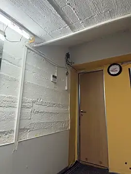 trainwithme online show from 28, 2, 2026