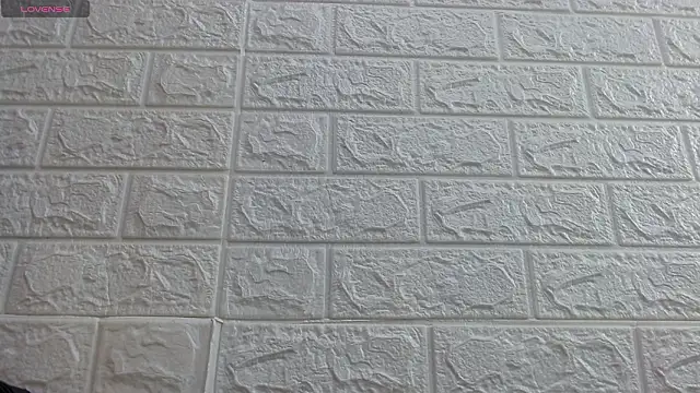 nei girl online show from 14, 3, 2026