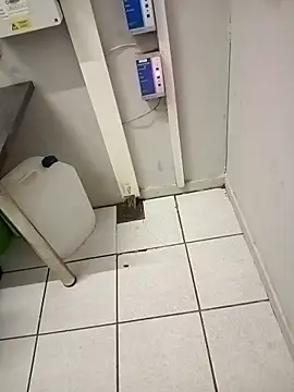 paptsimo online show from 25, 11, 2025