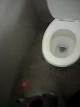 paptsimo online show from 13, 12, 2025