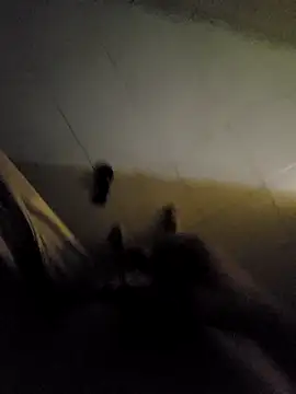 beto juby777 online show from 4, 11, 2025