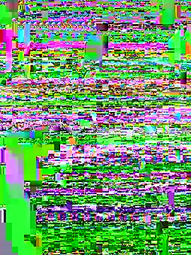 Snapshot of Punjabi_Jaati chatting on 19, 12, 2025 Punjabi Jaati online show from 19, 12, 2025