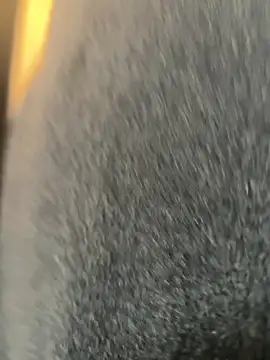 Snapshot of xiaoyuan01 chatting on 9, 3, 2026 xiaoyuan01 online show from 9, 3, 2026