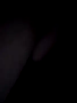 20cmdicazzo online show from 4, 11, 2025