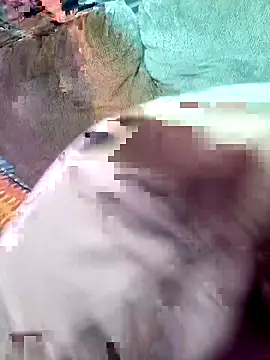 wowokthankyou online show from 3, 3, 2026