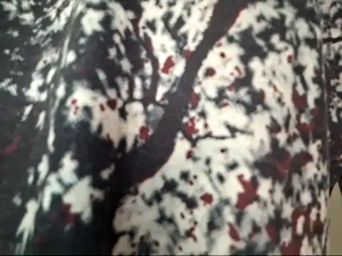 dabeibe online show from 16, 1, 2026