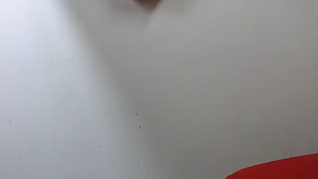 lola warner online show from 16, 10, 2025