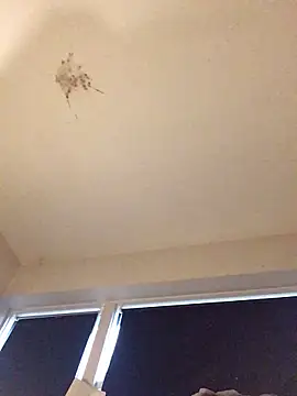 Snapshot of Sissy_Cindy_Whore chatting on 9, 11, 2025 Sissy Cindy Whore online show from 9, 11, 2025