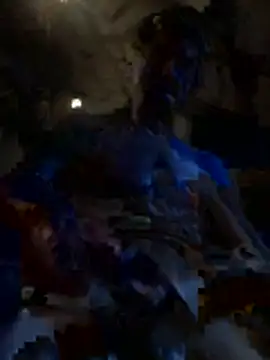 chaleureuxdesdames online show from 29, 11, 2025