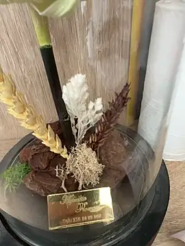 Mrdim26 online show from 11, 10, 2025