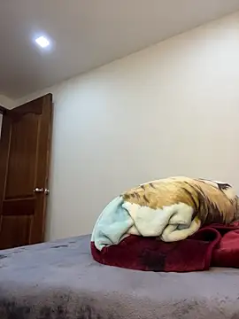 Snapshot of MaxDell chatting on 20, 3, 2026 MaxDell online show from 20, 3, 2026