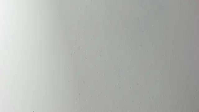 Snapshot of Lady_miss___ chatting on 6, 11, 2025 Lady miss online show from 6, 11, 2025