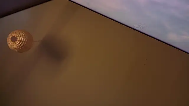 MasterDaddyCool online show from 8, 1, 2026