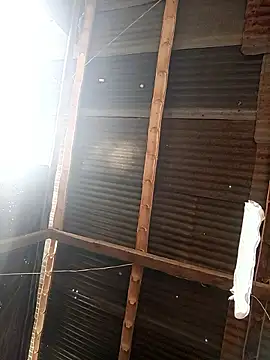 Davir2001 online show from 27, 2, 2026