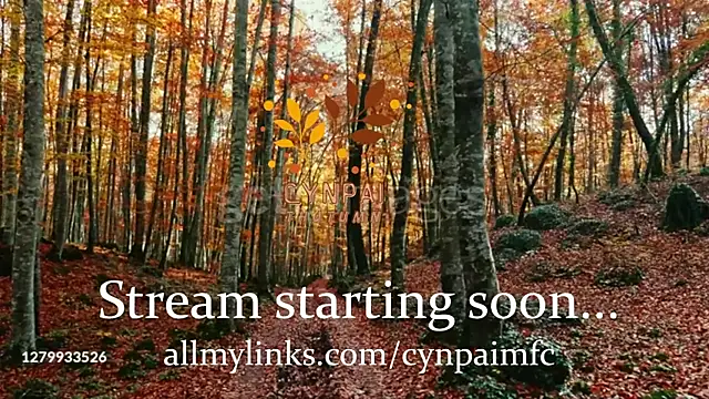 Snapshot of Cynpai chatting on 17, 11, 2025 Cynpai online show from 17, 11, 2025