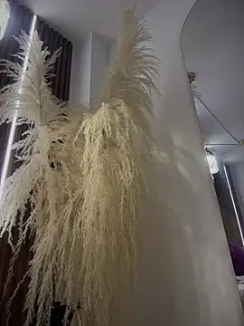 Snapshot of Anita-vega chatting on 19, 12, 2025 Anita-vega online show from 19, 12, 2025