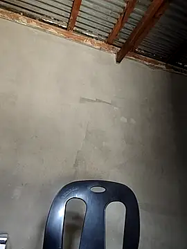 TPNUTS online show from 20, 11, 2025