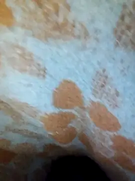 ParousFlow online show from 15, 4, 2026