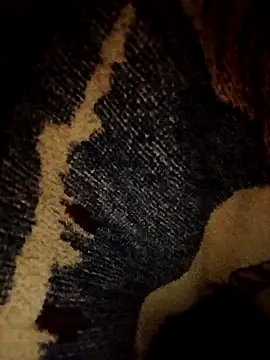 ParousFlow online show from 16, 4, 2026