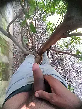 Desi Horny Boys online show from 18, 11, 2025