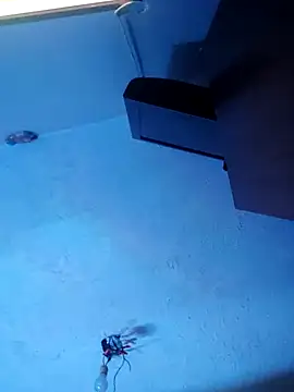 Snapshot of melisa_hot420 chatting on 8, 11, 2025 melisa hot420 online show from 8, 11, 2025