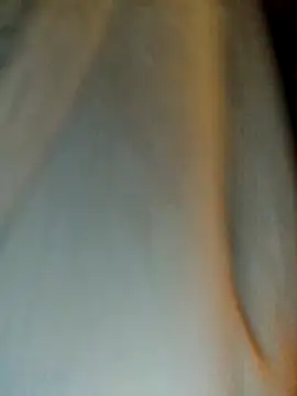 Snapshot of himNIGuys chatting on 11, 2, 2026 himNIGuys online show from 11, 2, 2026