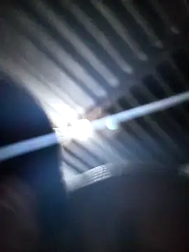 DOLLY501 online show from 3, 2, 2026