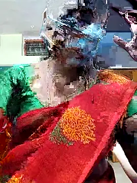 Snapshot of papukurty chatting on 7, 11, 2025 papukurty online show from 7, 11, 2025