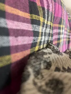 zack6x online show from 19, 9, 2025