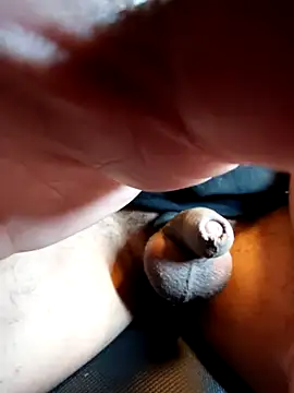 xneko  online show from 1, 2, 2026