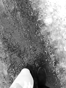 KOte7 online show from 4, 2, 2026