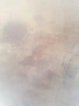 0023doja online show from 10, 10, 2025