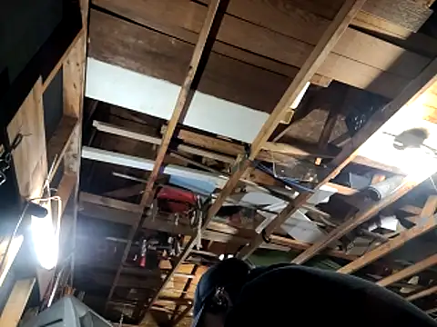 thejuicybacon online show from 22, 11, 2025