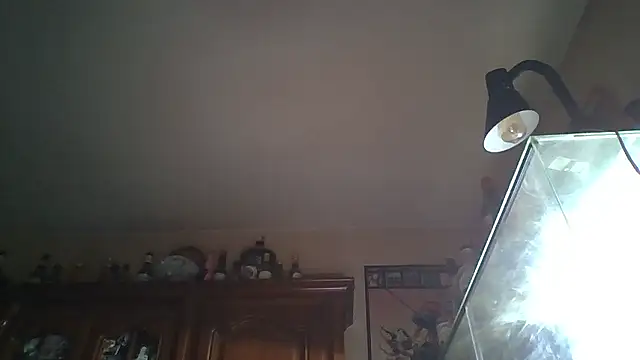 zipman92 online show from 5, 1, 2026