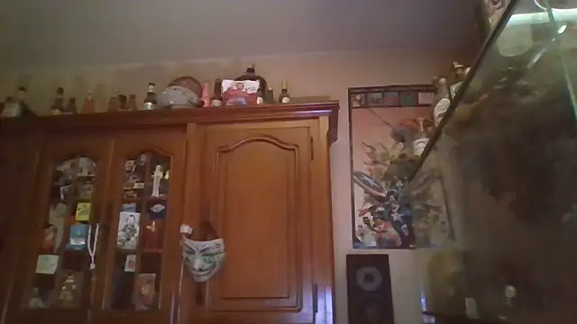 zipman92 online show from 15, 1, 2026