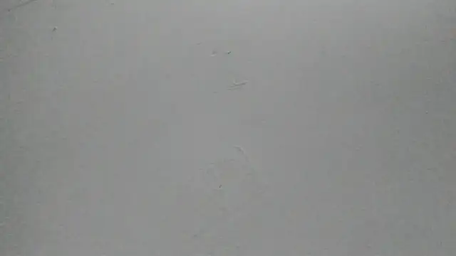 Sophia Ebony online show from 25, 2, 2026