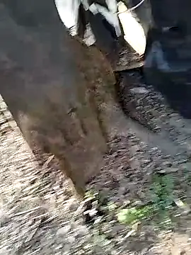 Odecca11 online show from 24, 3, 2026