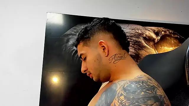 king falconer online show from 21, 11, 2025