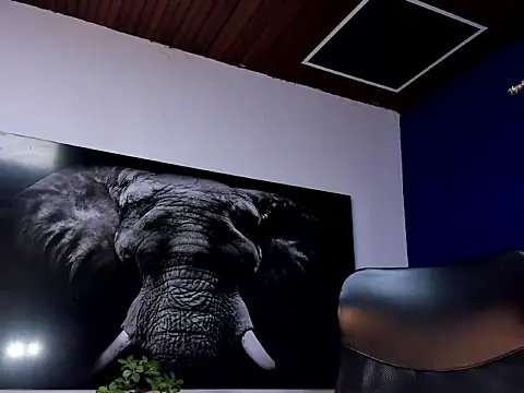 king falconer online show from 15, 1, 2026